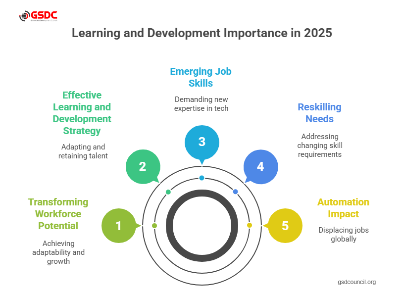 Why Is Learning and Development Important in 2025