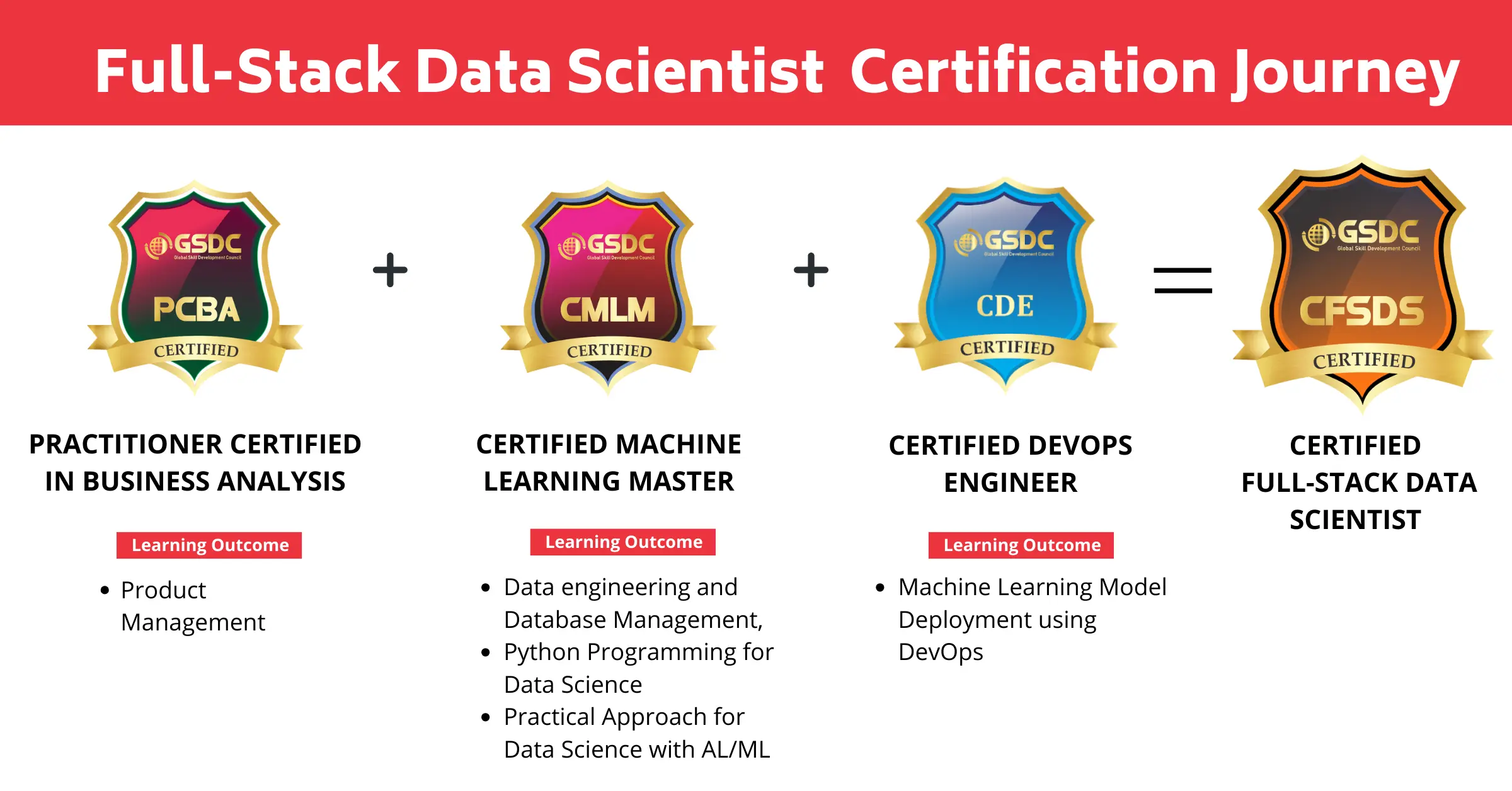 Full Stack Data Scientist Structure